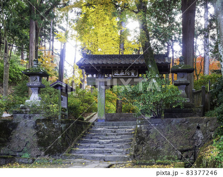 北鎌倉・浄智寺　山門と紅葉 83377246