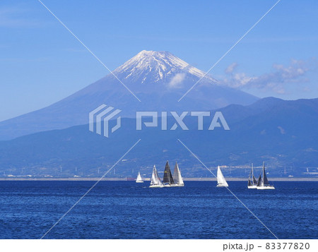 静岡県 内浦湾レガッタヨットレース 10月 静岡県 内浦湾レガッタヨットレース 10月 83377820