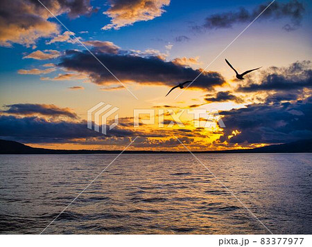 佐渡汽船からの夕焼け 83377977