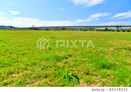 稲城大橋/多摩川を下流/府中市側より望む(東京都府中市)【2021.10】 稲城大橋/多摩川を下流/府中市側より望む(東京都府中市)【2021.10】 83378325