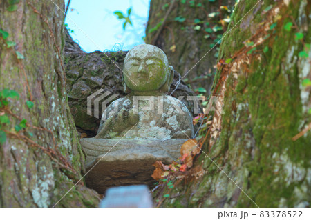 【四国八十八ヶ所】第十四番　常楽寺のアララギ大師　徳島県徳島市 83378522
