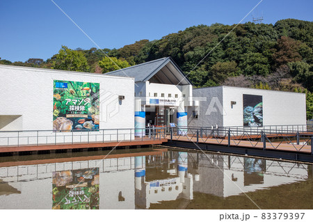 相模川ふれあい科学館 83379397