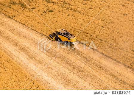 Top view of a combine harvester harvesting wheat from a field 83382674