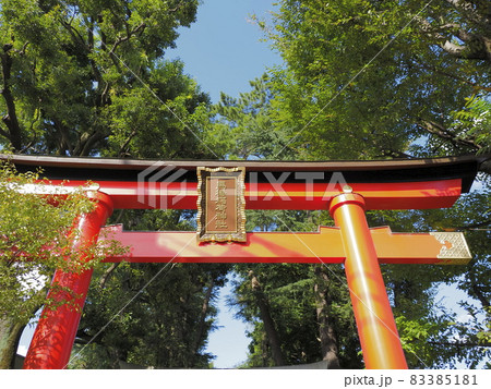 馬橋稲荷神社 東京都杉並区 馬橋稲荷神社 東京都杉並区 83385181