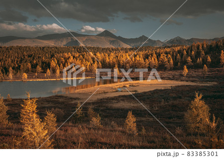 Beautiful mountain lake surrounded by larch forest. Sunny evening. Still water. 83385301