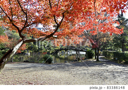 秋の枳殻邸　紅葉の庭園　京都市下京区 83386148