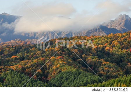 【北海道上富良野町】十勝岳の紅葉の風景 秋10月上旬 【北海道上富良野町】十勝岳の紅葉の風景 秋10月上旬 83386166