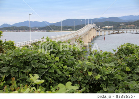 山口県の角島大橋 83386557