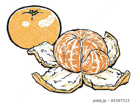 丸ごとのミカンと皮をむいて房を剥がしかけたミカン 版画風 丸ごとのミカンと皮をむいて房を剥がしかけたミカン 版画風 83387515