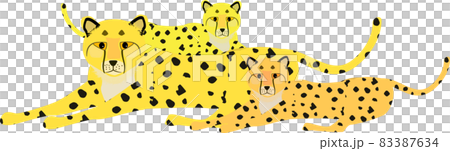 Parent and child of cheetah Parent and child of cheetah 83387634