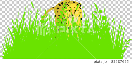 獲物を狙うチーター 83387635
