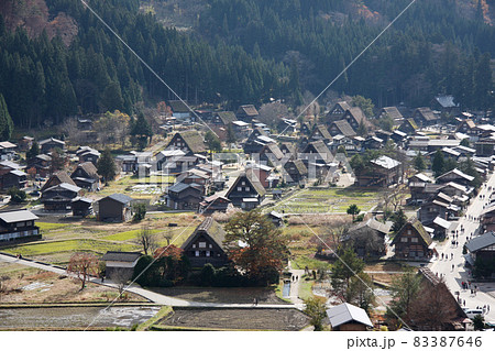 白川郷・五箇山の合掌造り集落 83387646