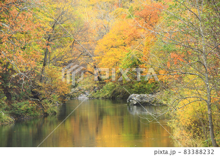 滝上町の錦仙峡の紅葉 滝上町の錦仙峡の紅葉 83388232