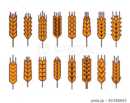 Cereal ear and spike of wheat, rye or barley millet, vector icons. Bread bakery signs of yellow wheat stalks, grain food and agriculture, rye or barley ear spike, organic farm crop harvest Cereal ear and spike of wheat, rye or barley millet, vector icons. Bread bakery signs of yellow wheat stalks, grain food and agriculture, rye or barley ear spike, organic farm crop harvest 83388665