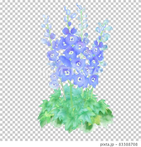 Hand drawn watercolor illustration of blue flower delphinium error tom Hand drawn watercolor illustration of blue flower delphinium error tom 83388708