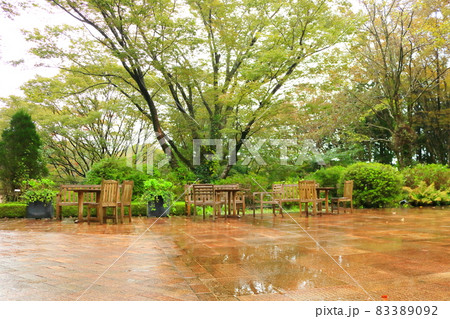 雨の中の秋の公園の森の中のベンチ 83389092