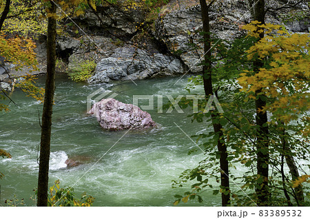 見頃を迎えた赤岩青巌峡の紅葉(北海道 占冠) 見頃を迎えた赤岩青巌峡の紅葉(北海道 占冠) 83389532