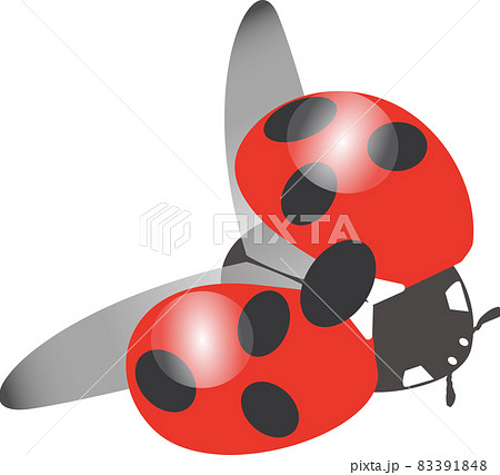 羽を広げた赤色のナナホシテントウのイラスト 83391848