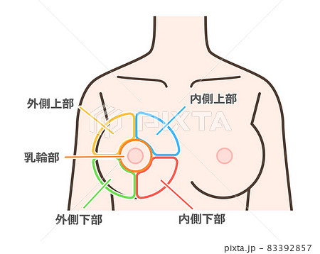 胸の病気の区分けイラスト 胸の病気の区分けイラスト 83392857