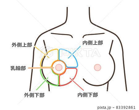胸の病気の区分けイラスト 83392861