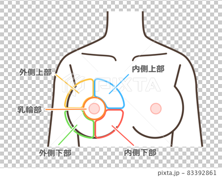 胸の病気の区分けイラスト 83392861
