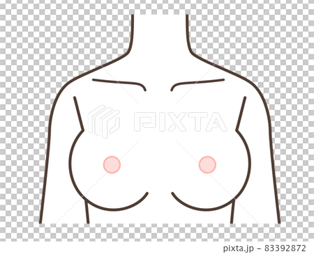 Breast illustrations