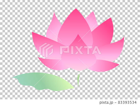 Illustration of a lotus flower and leaves 83393534