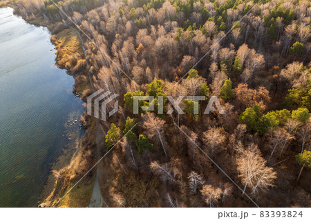 Colorful autumn forest with trees on the shore of a blue lake - top aerial view. Colorful autumn forest with trees on the shore of a blue lake - top aerial view. 83393824