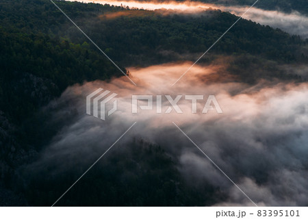Fog in the mountains at sunrise. Morning fog in the mountains at dawn. Clouds in the mountains. Morning fog after rain. Mountains at dawn. Milk rivers. Copy space Fog in the mountains at sunrise. Morning fog in the mountains at dawn. Clouds in the mountains. Morning fog after rain. Mountains at dawn. Milk rivers. Copy space 83395101