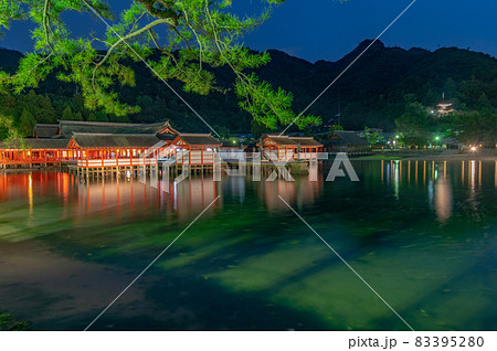 世界遺産 夜の宮島 世界遺産 夜の宮島 83395280