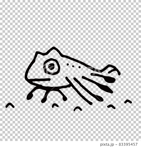 水下魚 11 83395457