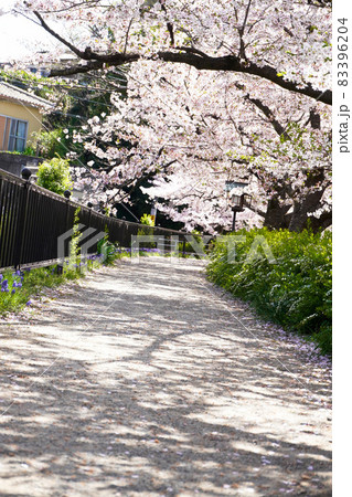 大堀川花の道公園 大堀川花の道公園 83396204