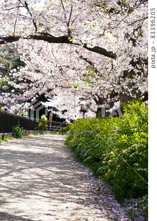 大堀川花の道公園 83396205