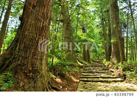 和歌山県　世界遺産　熊野古道　大門坂 83398799