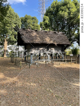 田能遺跡　高床倉庫 83399154