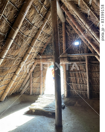 田能遺跡　竪穴住居 83399158