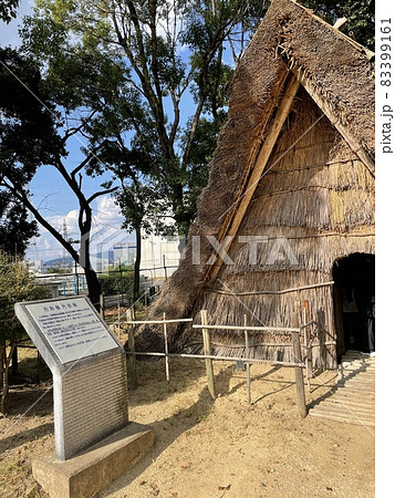 田能遺跡　竪穴住居 83399161