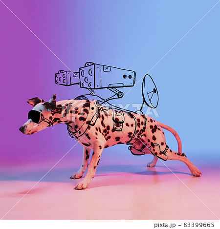 Modern artwork. One cute dog, Dalmatian like alien warrior isolated on gradient neon purple studio background with drawings. Modern artwork. One cute dog, Dalmatian like alien warrior isolated on gradient neon purple studio background with drawings. 83399665
