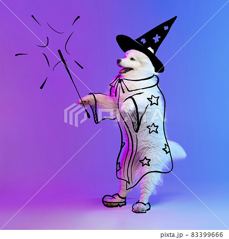 Contemporary artwork. One cute funny dog like magician isolated on purple studio background in neon with drawings. 83399666