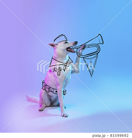 Contemporary artwork. One cute funny dog like boy scout isolated on blue studio background in neon with drawings. 83399692