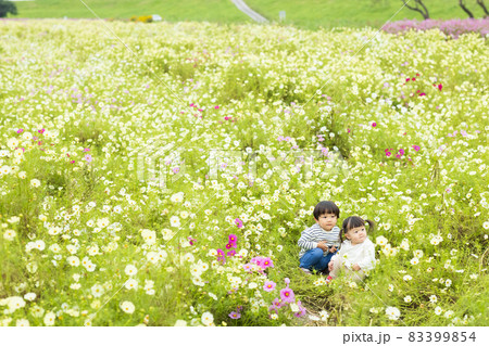 お散歩するかわいい幼児 お散歩するかわいい幼児 83399854