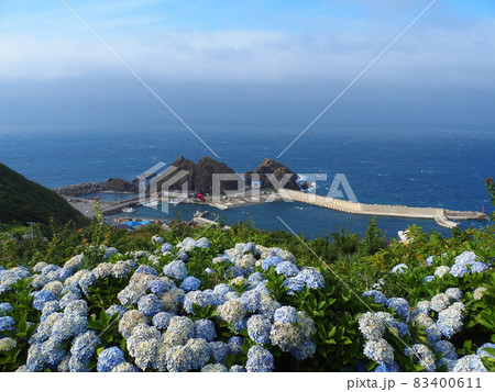 津軽海峡 龍飛崎 帯島 俯瞰風景 あじさい 津軽海峡 龍飛崎 帯島 俯瞰風景 あじさい 83400611
