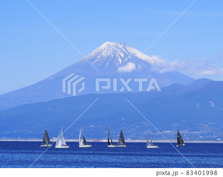 静岡県　内浦湾レガッタヨットレース　10月 83401998