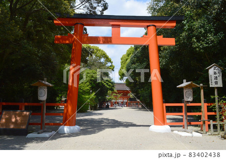 五月晴れのお昼に参拝した京都下鴨神社が清々しい 五月晴れのお昼に参拝した京都下鴨神社が清々しい 83402438