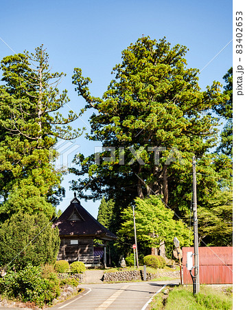 懐かしい日本の原風景　かやぶき集落の景色　古木のある神社 83402653