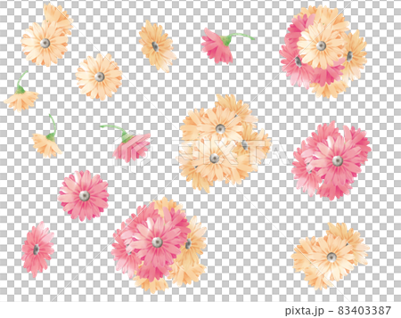 ガーベラの花素材 83403387
