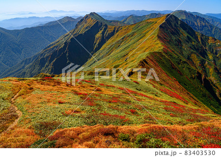 秋の谷川岳展望・紅葉する山並み 83403530