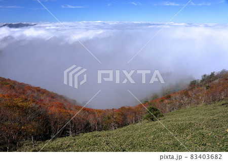 雲海と紅葉と笹原　剣山　秋　（徳島県　日本百名山） 83403682