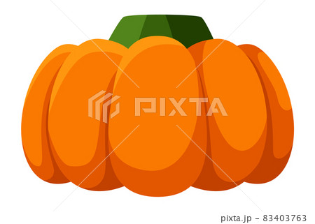 Pumpkin vegetable. Isolated fresh gourd, thanksgiving orange symbol 83403763