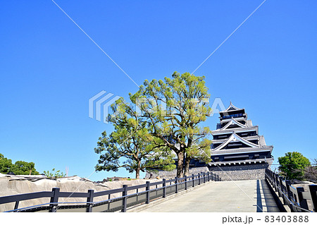 熊本城　復活した天守閣 83403888